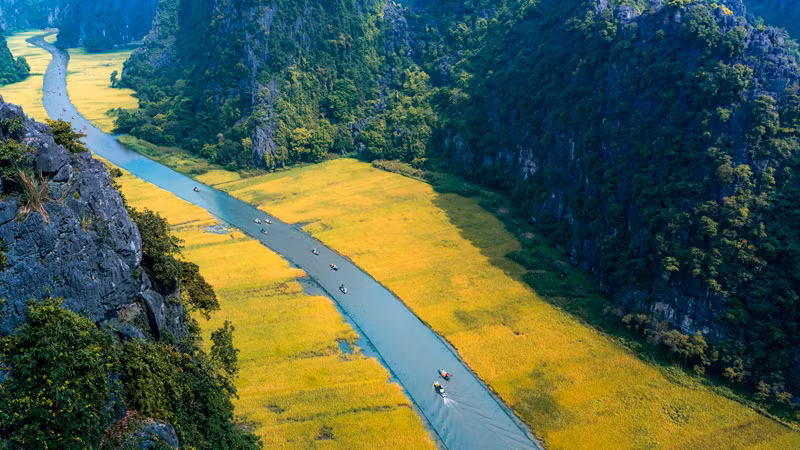 Sắc vàng Tam Cốc. (Ảnh: Sở Du lịch Ninh Bình cung cấp)