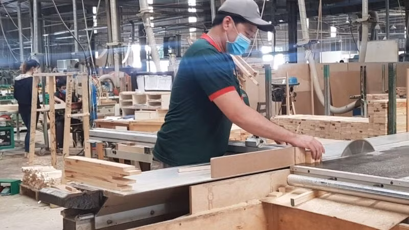 Doanh nghiệp xuất khẩu gỗ gặp khó khăn.
