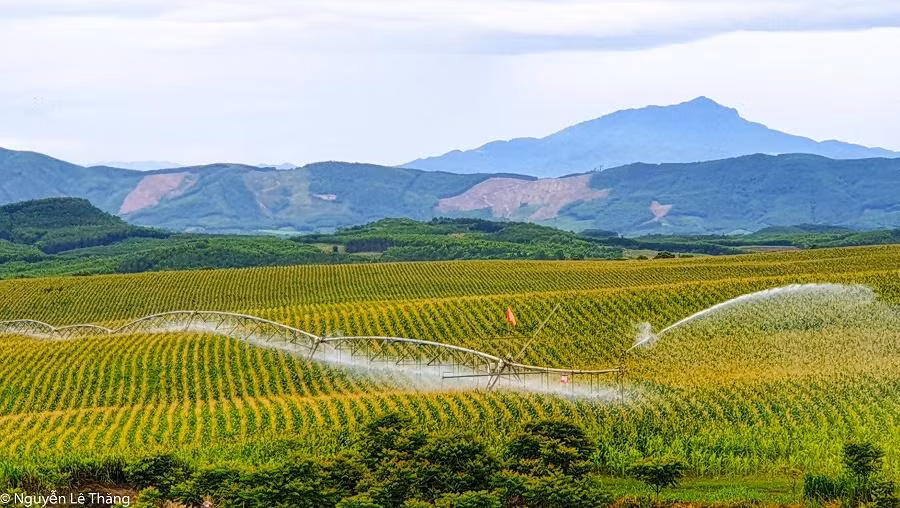 Quy trình khép kín, tuần hoàn từ khâu cung cấp nước sạch và thức ăn đầu vào tới xử lý chất thải đầu ra được áp dụng tại Trang trại TH nhiều năm qua. Quy trình khép kín, tuần hoàn từ khâu cung cấp nước sạch và thức ăn đầu vào tới xử lý chất thải đầu ra được áp dụng tại Trang trại TH nhiều năm qua.