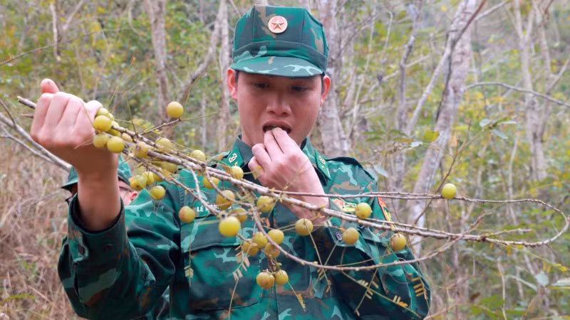 Món quà của mùa xuân.