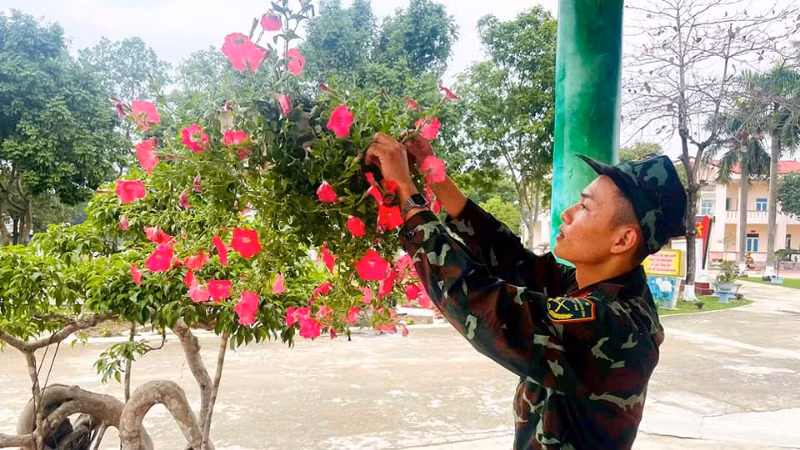 Sắc hoa mùa xuân từ bàn tay chiến sĩ mới.