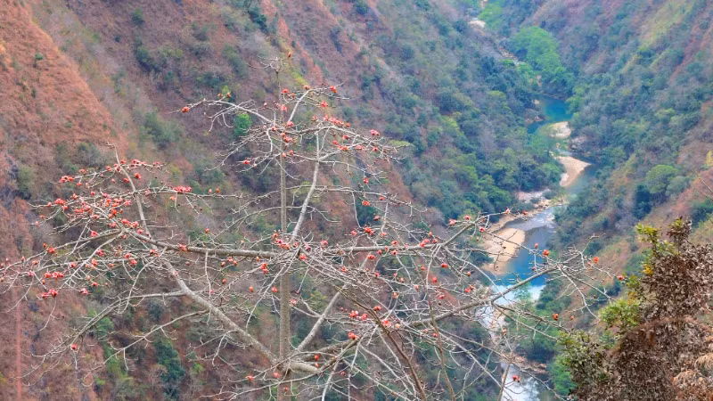 Vẻ đẹp nên thơ của núi rừng.