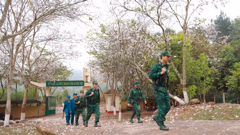 Bây giờ, giữa mùa hoa ban nở. Bây giờ, giữa mùa hoa ban nở.
