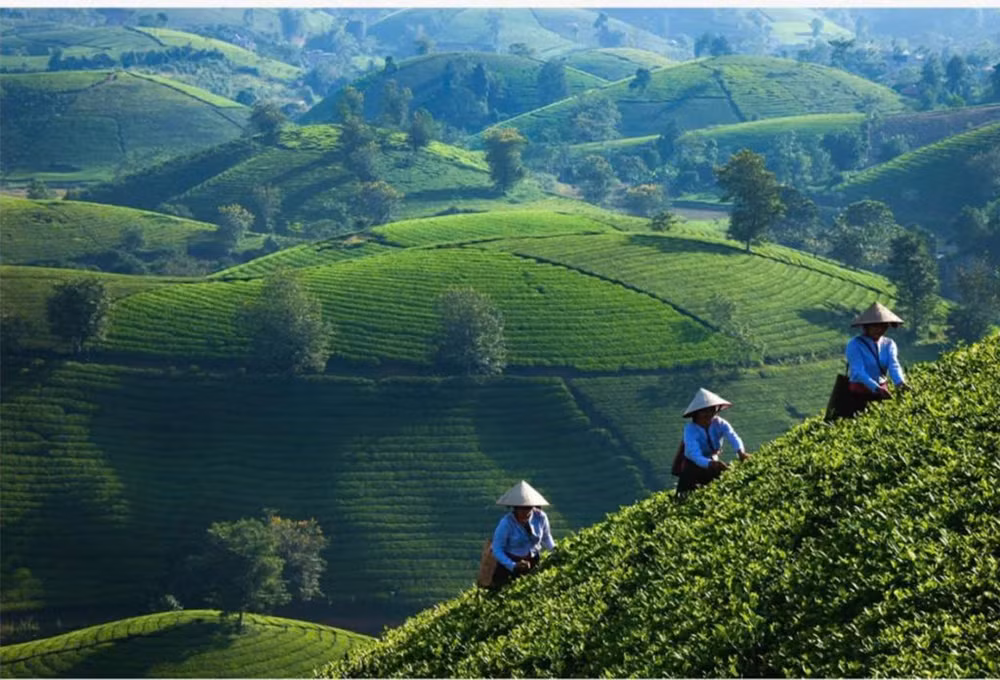 Những tác phẩm nhiếp ảnh tôn vinh vẻ đẹp của con người và cuộc sống.