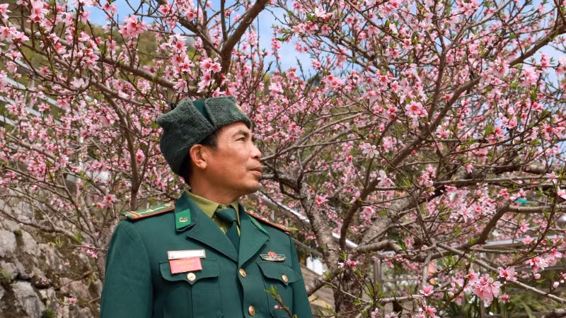 Giữa mùa hoa biên giới.