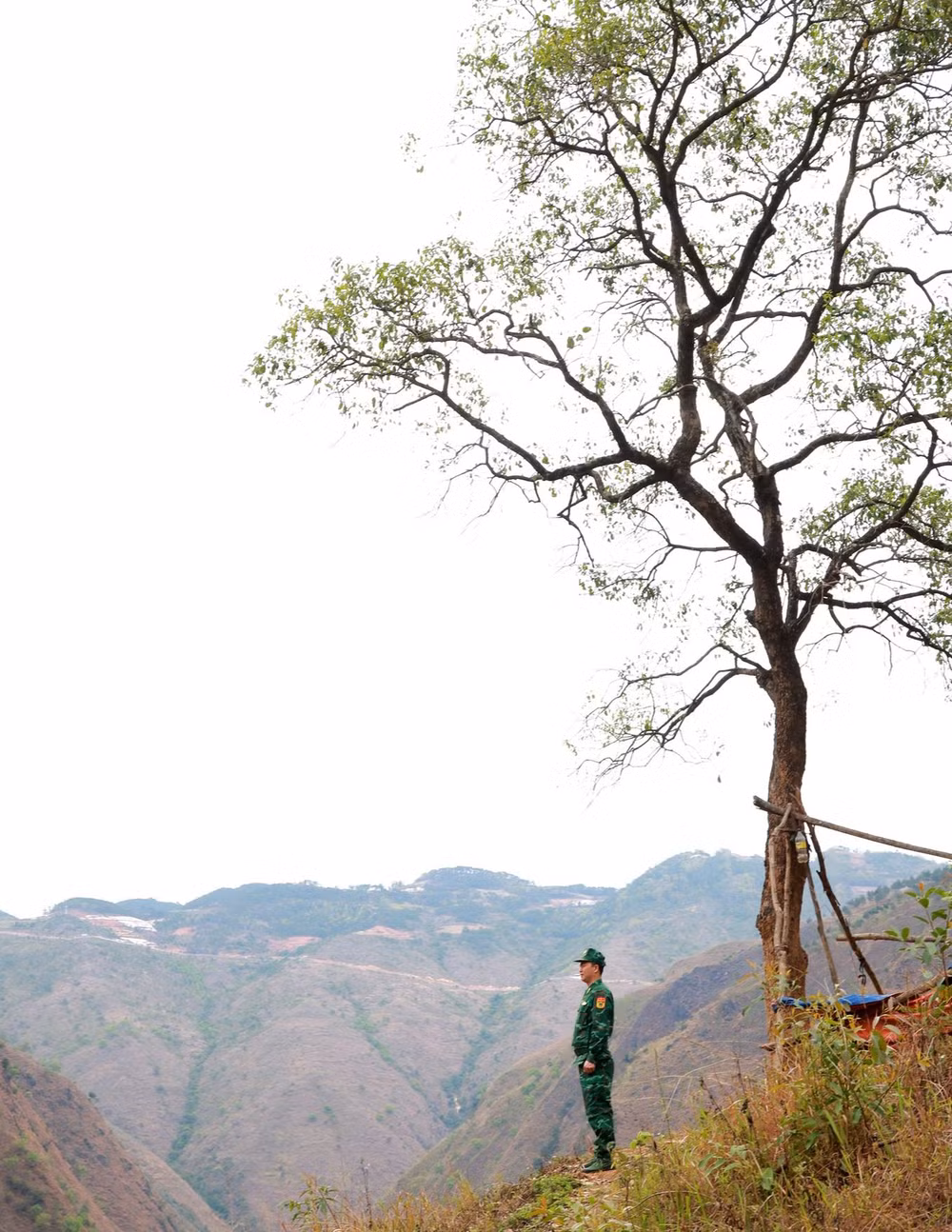 Giữa mênh mông rừng núi.