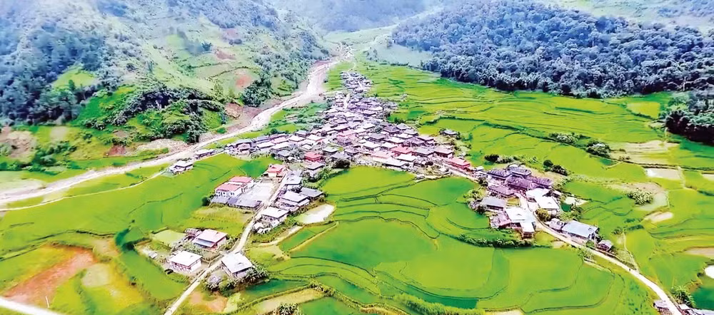 Giống lúa nếp Tan đặc sản làm nên sắc xanh tuyệt đẹp cho những cánh đồng Ngọc Chiến. Ảnh | Vietmountain Travel