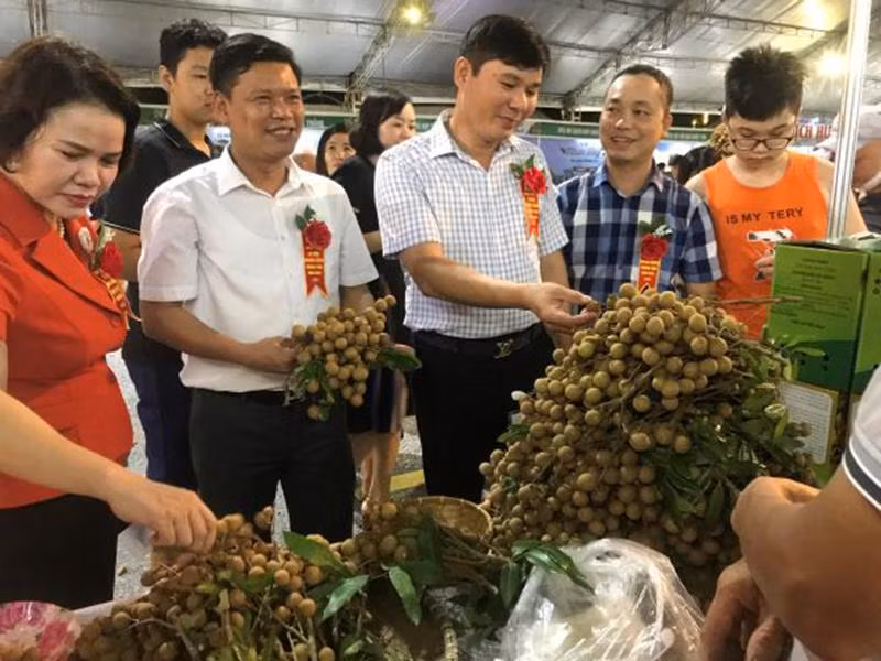 Các gian hàng trưng bày các giống nhãn ở Hưng Yên. Các gian hàng trưng bày các giống nhãn ở Hưng Yên.