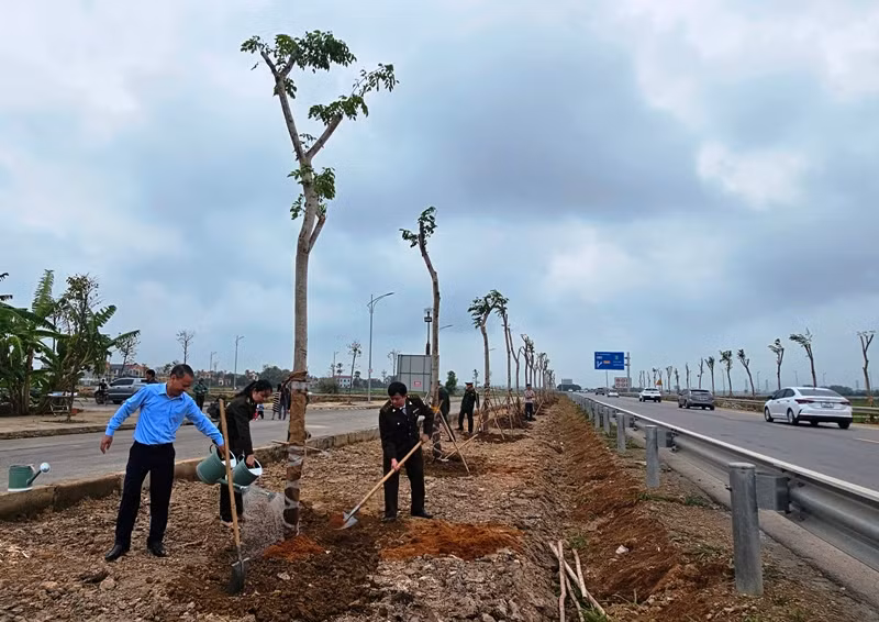 Lực lượng kiểm lâm, quản lý thị trường trồng, chăm sóc cây xanh.