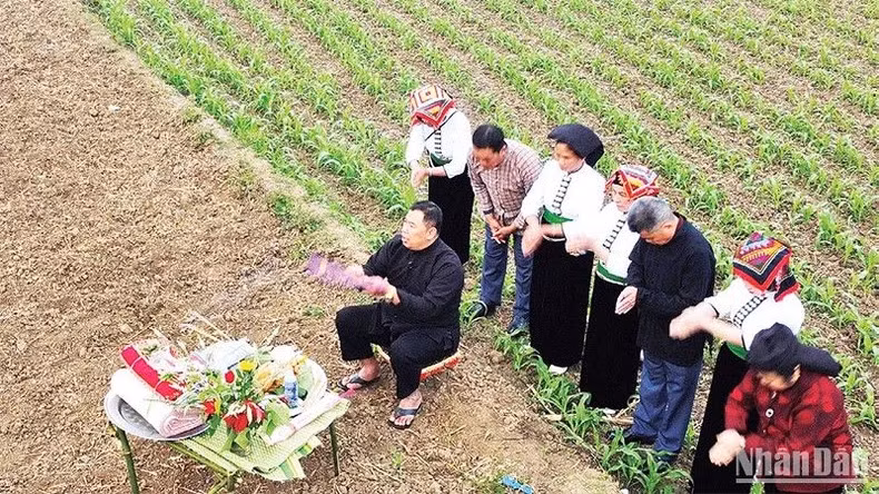 Lễ hội cầu mưa của người Thái trắng, xã Mường Sang, huyện Mộc Châu, tỉnh Sơn La. (Ảnh: QUỐC TUẤN)