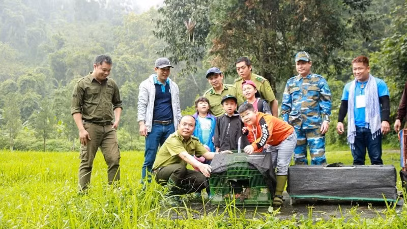 Cán bộ kiểm lâm Vườn quốc gia Cúc Phương cùng người dân thả động vật hoang dã về môi trường tự nhiên.