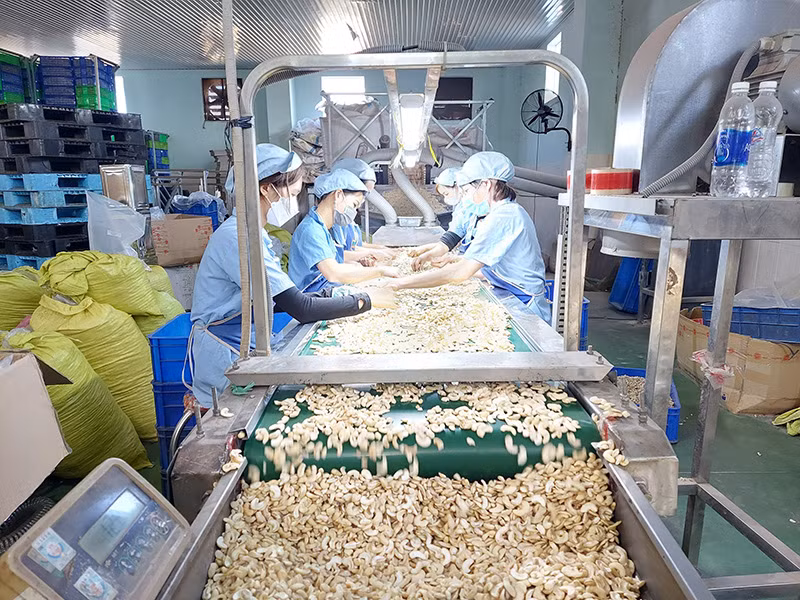 Đẩy mạnh chế biến sâu nông sản góp phần tăng giá trị, tạo đầu ra ổn định cho sản phẩm. Đẩy mạnh chế biến sâu nông sản góp phần tăng giá trị, tạo đầu ra ổn định cho sản phẩm.