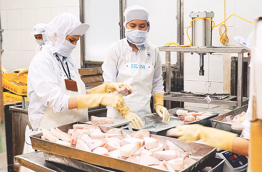 Xuất khẩu thủy sản đạt 10 tỷ USD năm 2024. Ảnh: NAM ANH