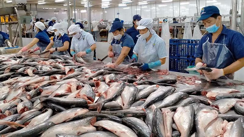 Xuất khẩu cá tra lấy lại đà tăng.