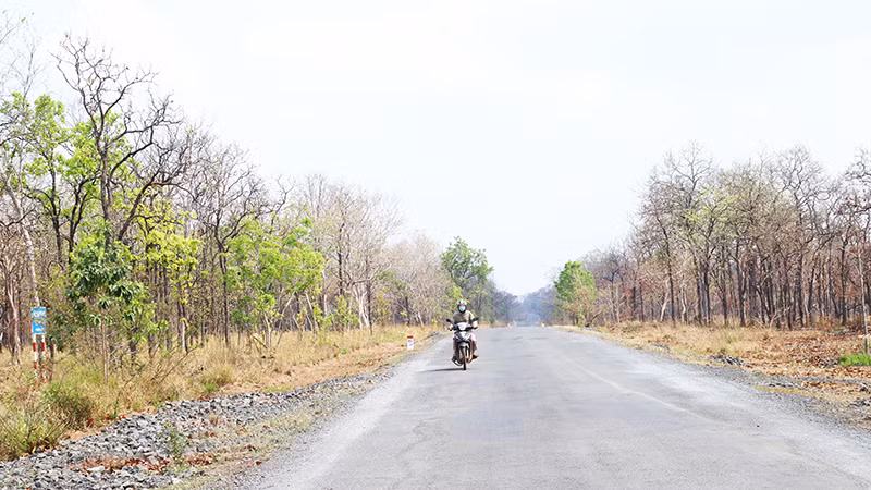 Hiện nay đang vào thời kỳ cao điểm của mùa khô Tây Nguyên, đường ra biên giới ở Đắk Lắk băng qua những khu rừng khộp mùa thay lá đẹp như một bức tranh.