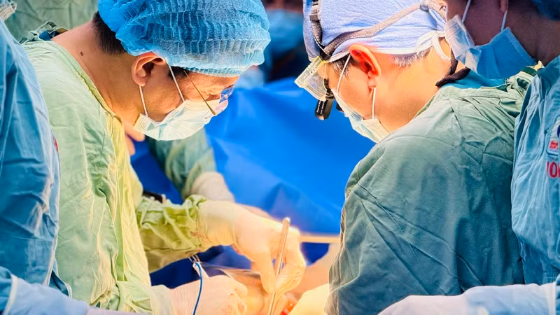 Ê-kíp thực hiện phẫu thuật lấy gan từ người hiến tạng. Ê-kíp thực hiện phẫu thuật lấy gan từ người hiến tạng.