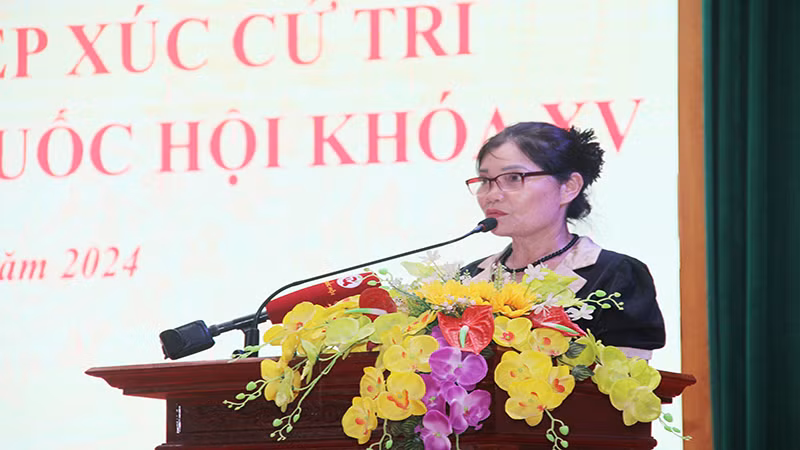 Cử tri tỉnh Hà Nam phát biểu ý kiến tại hội nghị tiếp xúc cử tri. Cử tri tỉnh Hà Nam phát biểu ý kiến tại hội nghị tiếp xúc cử tri.
