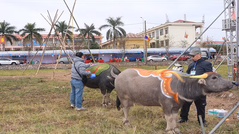 Các họa sĩ đang tập trung sáng tạo các tác phẩm trên mình trâu.