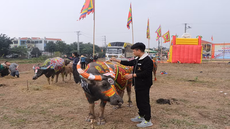 Hội thi năm nay đã thu hút nhiều họa sĩ trẻ tham gia.