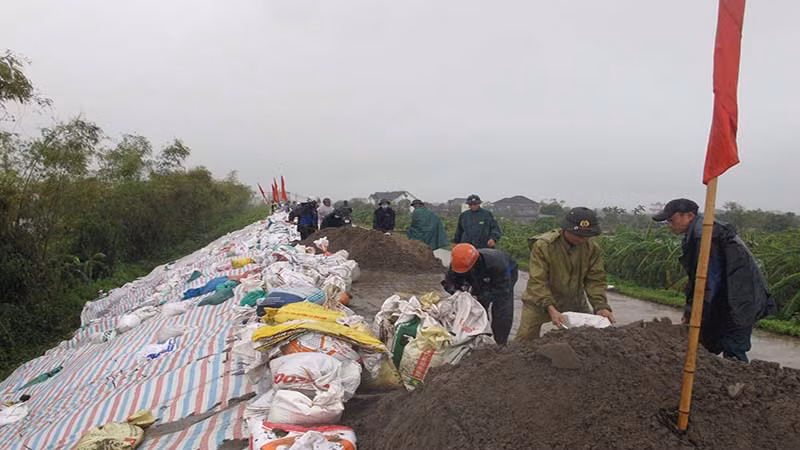 Ngay khi phát hiện sự cố sạt trượt, huyện Lý Nhân đã chỉ đạo các lực lượng đã tập trung gia cố khắc phục kịp thời ngay trong những giờ đầu.