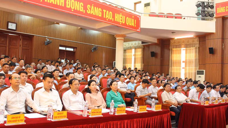 Các đại biểu dự hội nghị.