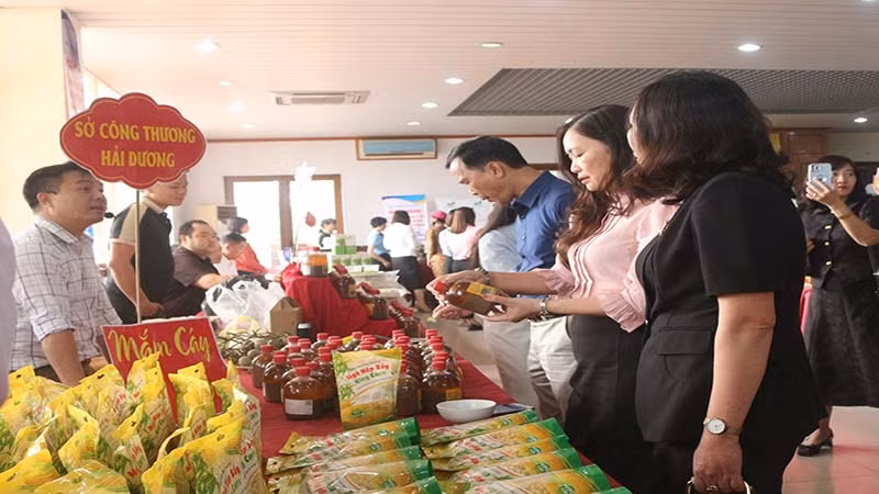 Các đại biểu tham quan các gian hàng trưng bày, giới thiệu, quảng bá các sản phẩm, hình ảnh, thông tin của doanh nghiệp, hợp tác xã, hộ sản xuất trong và ngoài tỉnh. Các đại biểu tham quan các gian hàng trưng bày, giới thiệu, quảng bá các sản phẩm, hình ảnh, thông tin của doanh nghiệp, hợp tác xã, hộ sản xuất trong và ngoài tỉnh.