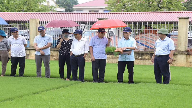 Các đại biểu đã đi tham quan mô hình mạ khay cấy máy tại huyện Thanh Liêm.