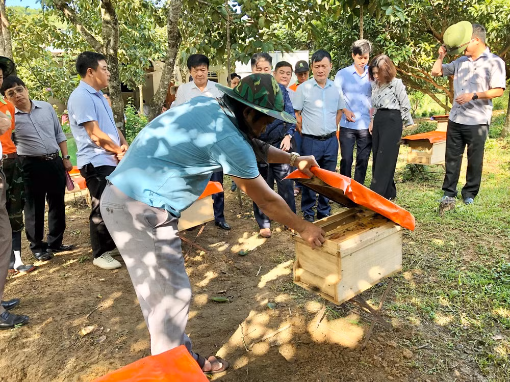 Mô hình nuôi ong trong vườn cây ăn quả ở xã Sơn Lộc, huyện Can Lộc (Hà Tĩnh).