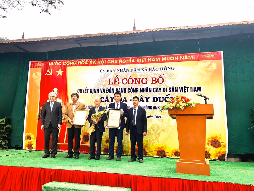 Hội Bảo vệ thiên nhiên và Môi trường Việt Nam trao Quyết định công nhận cây di sản Việt Nam đối với cây đa, cây duối tại thôn Thụy Hà.