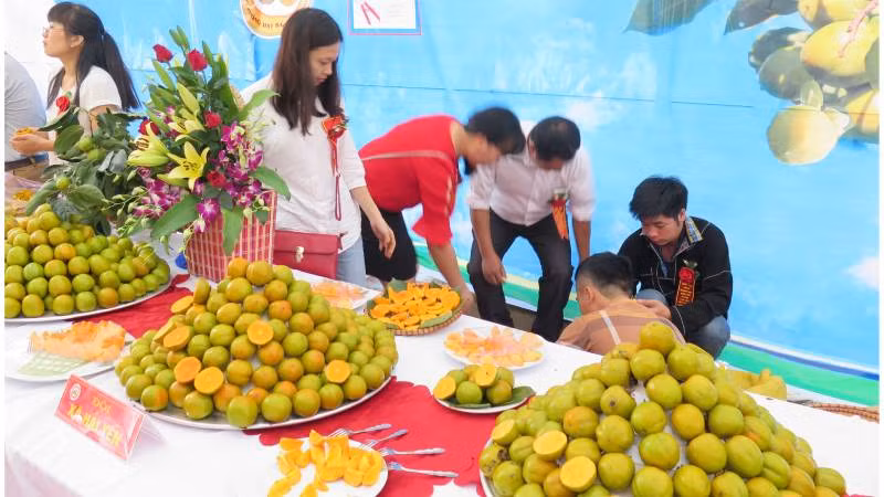 Hồng Vành khuyên được các Hợp tác xã trong huyện Văn Lãng (Lạng Sơn) đem quảng bá, giới thiệu cho khách hàng.