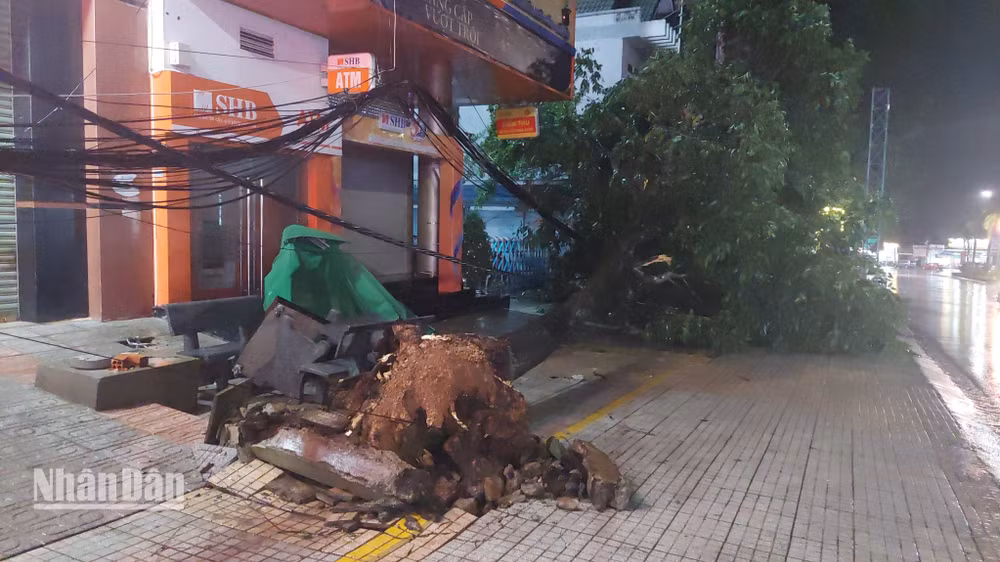 Mưa lớn kèm theo gió giật mạnh làm nhiều cây xanh gãy đổ. Mưa lớn kèm theo gió giật mạnh làm nhiều cây xanh gãy đổ.
