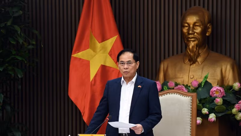 Phó Thủ tướng, Bộ trưởng Ngoại giao Bùi Thanh Sơn phát biểu chỉ đạo tại buổi họp. (Ảnh: VGP)