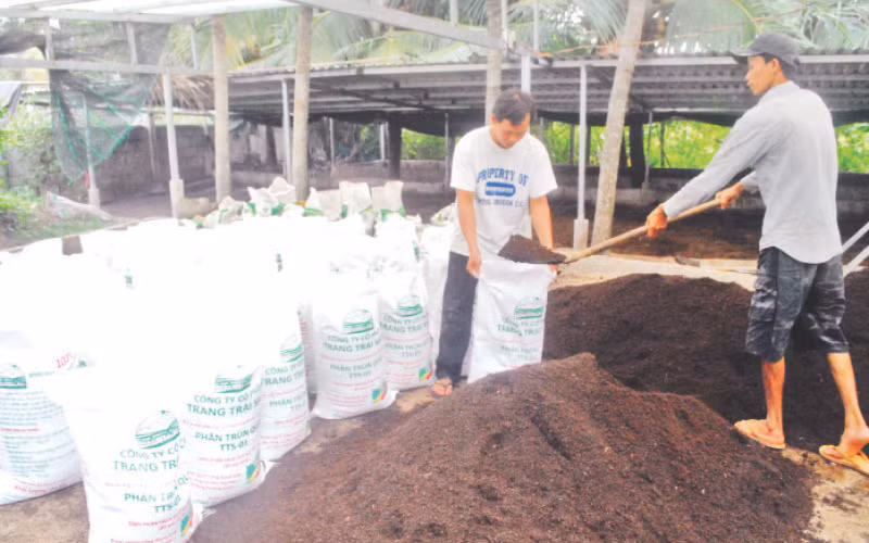 Mô hình liên kết nuôi trùn quế theo nguyên lý kinh tế tuần hoàn tại trang trại của ông Nguyễn Công Vinh (huyện Châu Thành) tỉnh Tiền Giang.