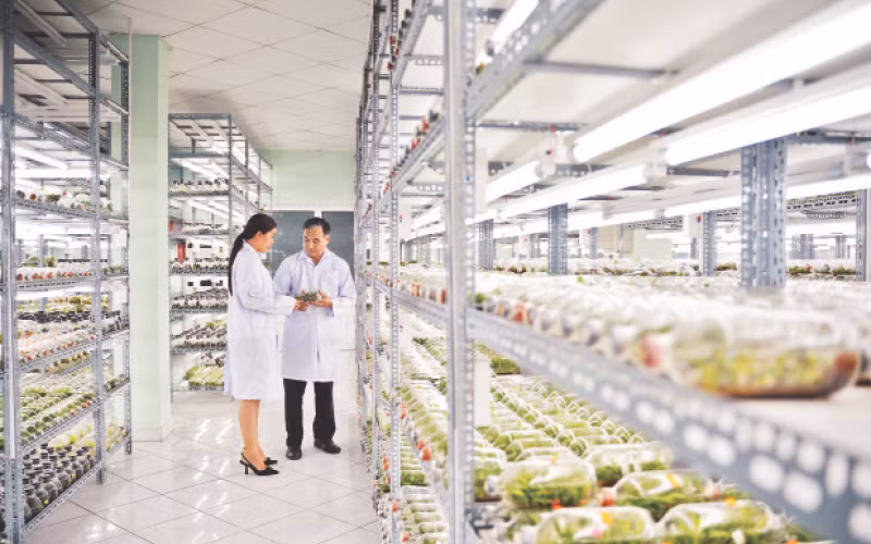 Thành phố Hồ Chí Minh hướng đến nền nông nghiệp hiện đại 