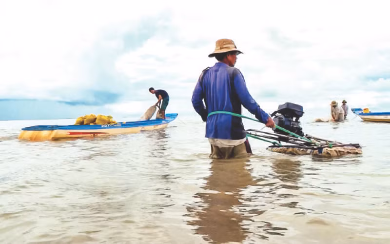Việc khai thác nghêu giống trái phép khiến tình hình an ninh trật tự phức tạp. Việc khai thác nghêu giống trái phép khiến tình hình an ninh trật tự phức tạp.