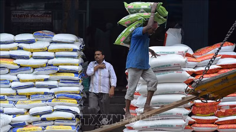 Công nhân vận chuyển gạo tại khu chợ ở Bangalore, Ấn Độ. (Ảnh tư liệu: AFP/TTXVN)