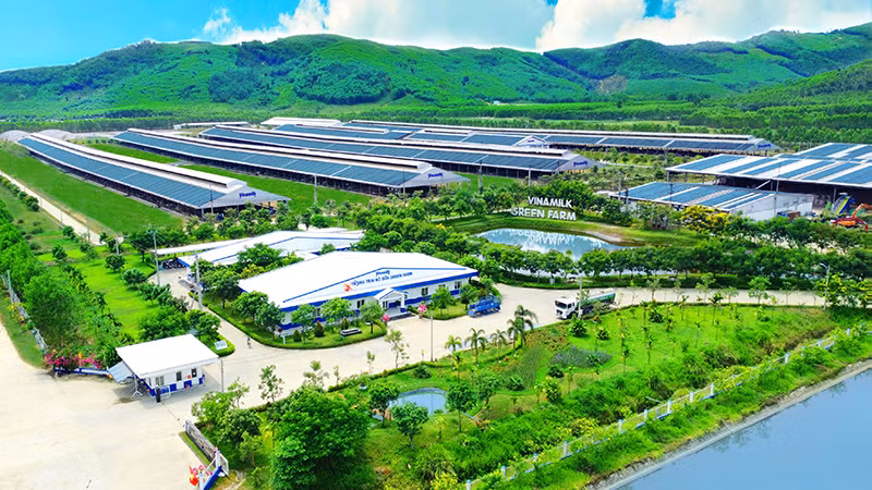 Hệ thống 14 trang trại Vinamilk trên cả nước hiện đang được áp dụng nhiều giải pháp về nông nghiệp bền vững và năng lượng xanh. Hệ thống 14 trang trại Vinamilk trên cả nước hiện đang được áp dụng nhiều giải pháp về nông nghiệp bền vững và năng lượng xanh.