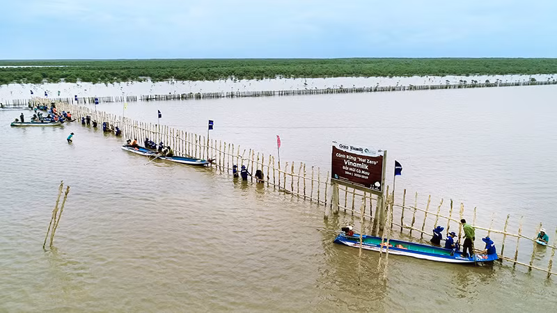 Các hoạt động trồng cây được Vinamilk triển khai đều kêu gọi sự tham gia của nhân viên, đoàn viên thanh niên, cộng đồng… Các hoạt động trồng cây được Vinamilk triển khai đều kêu gọi sự tham gia của nhân viên, đoàn viên thanh niên, cộng đồng…