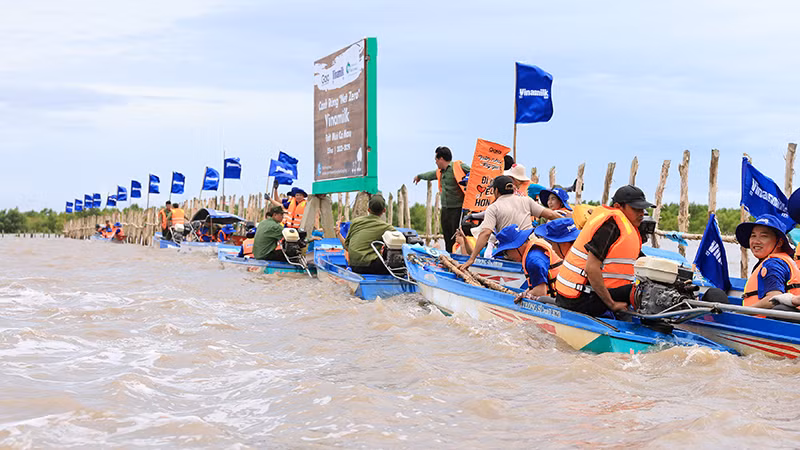 Hoạt động nhân viên tham gia tái sinh rừng được Vinamilk thực hiện thường niên để đóng góp cho dự án Cánh rừng Net Zero.