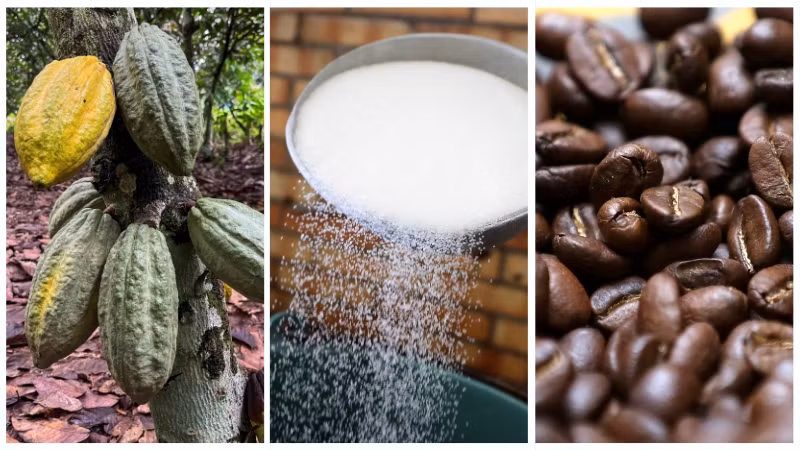 Giá ca-cao, đường, cà-phê giảm mạnh, cản trở đà hồi phục của chỉ số giá hàng hóa.