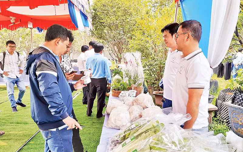 Giới thiệu các sản phẩm nông nghiệp ứng dụng công nghệ cao của Thành phố Hồ Chí Minh.