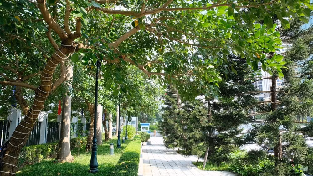 Hầu hết mọi người lần đầu đến đây đều bị ấn tượng bởi mật độ dày đặc của những vườn hoa, cây cảnh, hồ cá Koi, tiểu cảnh,… được chăm chút cẩn thận nhưng vẫn giữ được sự giao hòa gần gũi với tự nhiên.