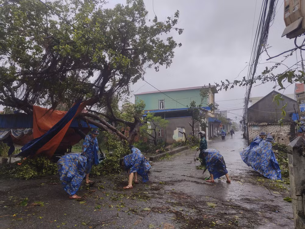 Các đơn vị Hải quân triển khai toàn lực giúp chính quyền, người dân Quảng Ninh, Hải Phòng chặt cây đổ, dọn vệ sinh, khắc phục hậu quả cơn bão.