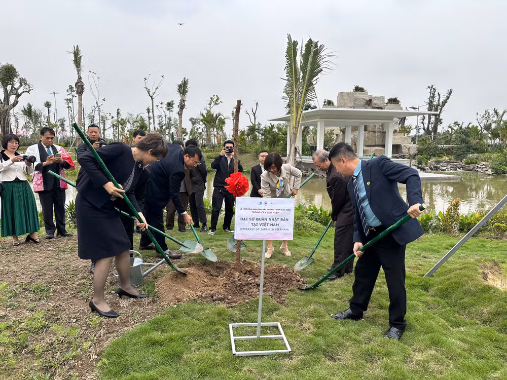 Các đại biểu tham gia trồng cây hoa anh đào.