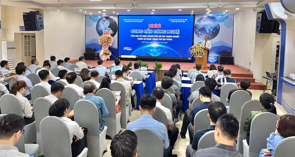 Quang cảnh phiên kết nối. Quang cảnh phiên kết nối.