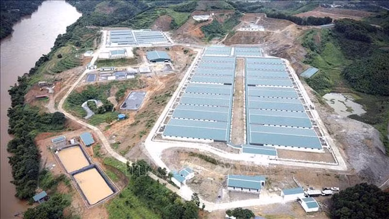 Khu trang trại lợn tại xã Đông An, huyện Văn Yên.