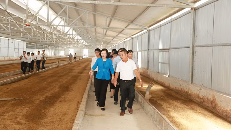 Xây dựng mô hình xử lý môi trường trong chăn nuôi bò sữa kết hợp mô hình du lịch sinh thái tại HTX Hiệp Thư-Phù Đổng Green Park, huyện Gia Lâm