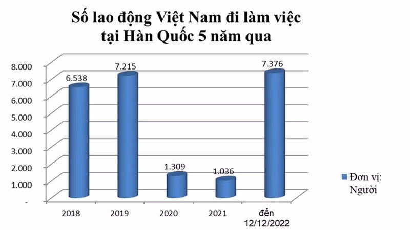 Nguồn: Cục Quản lý lao động ngoài nước. Nguồn: Cục Quản lý lao động ngoài nước.