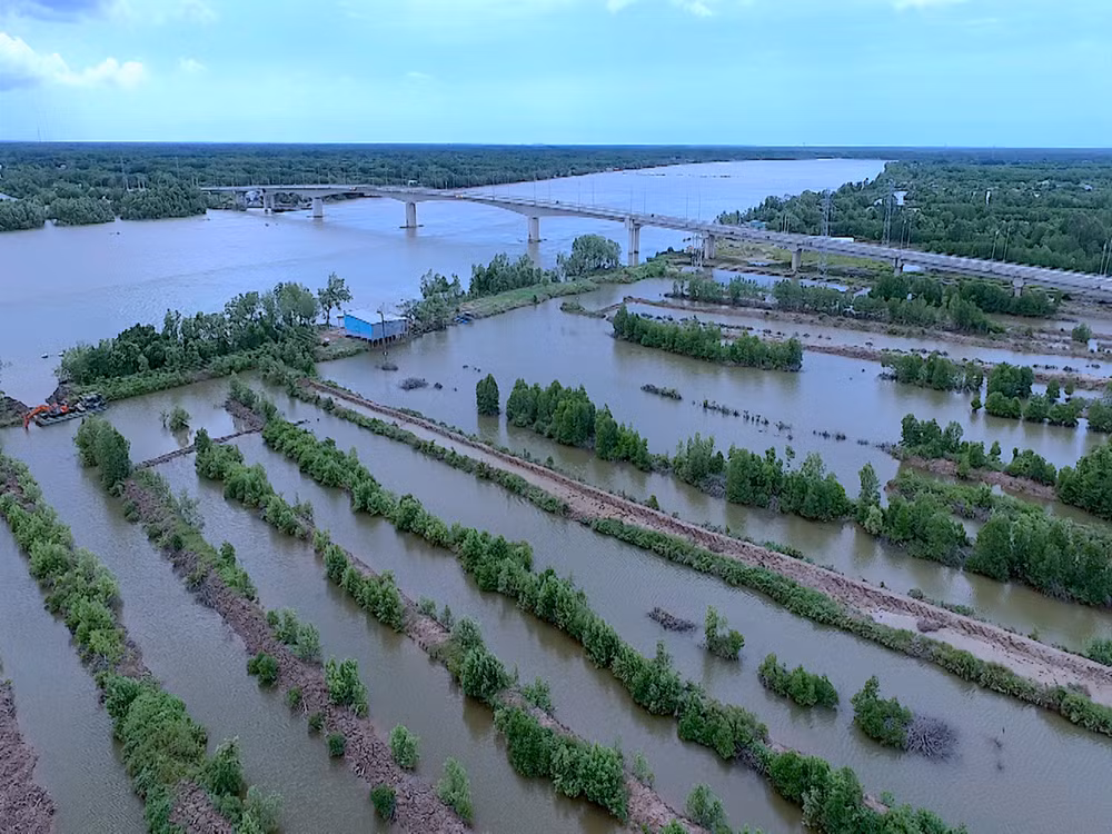 Sông Cửa lớn đoạn hẹp ngang qua thị trấn Năm Căn (huyện Năm Căn, tỉnh Cà Mau) được chọn làm vị trí bắt cầu Năm Căn đi về tận Đất Mũi Sông Cửa lớn đoạn hẹp ngang qua thị trấn Năm Căn (huyện Năm Căn, tỉnh Cà Mau) được chọn làm vị trí bắt cầu Năm Căn đi về tận Đất Mũi