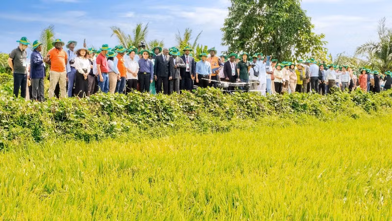 Đoàn đến thăm Hợp tác xã New Green Fram. Đoàn đến thăm Hợp tác xã New Green Fram.
